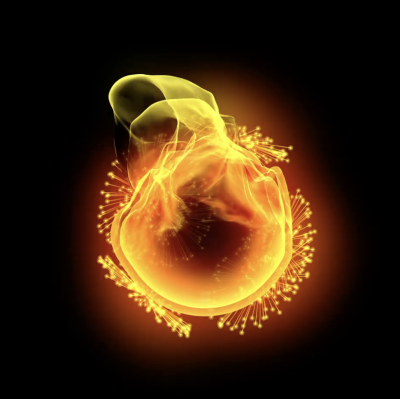 Die 12 kosmischen Gesetze zusammengefasst